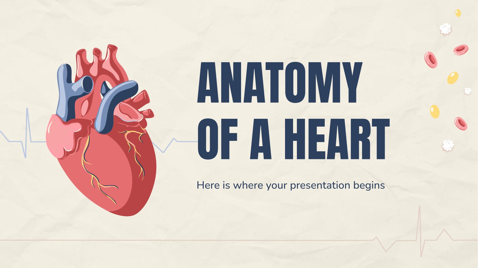 Anatomy of a Heart presentation template 