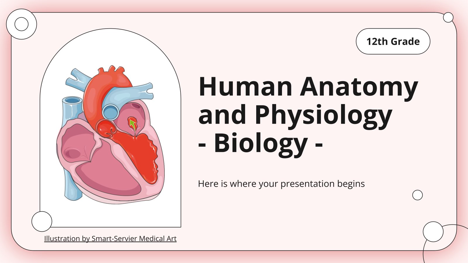 Modelo de apresentação Anatomia e fisiologia humana - Biologia - 3.º ano do ensino médio
